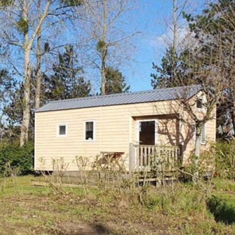 UNIEKE ACCOMMODATIE 4 personen - Tiny House Confort 2 slaapkamers