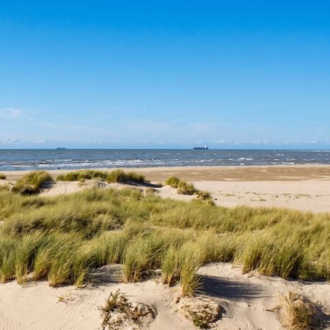 Camping Domaine de La Pinede - Camping Pas-de-Calais