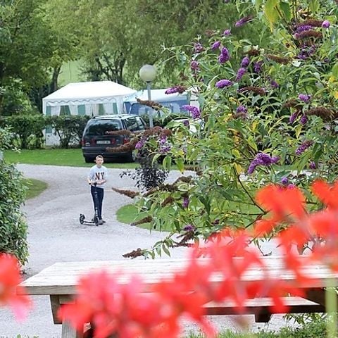 Camping Les Cytises - Camping Pas-de-Calais - Image N°2