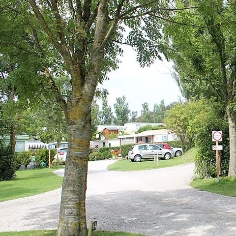 Camping Les Cytises - Camping Pas-de-Calais - Image N°6