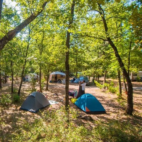 Flower Camping Jas du Moine - Camping Alpes-de-Haute-Provence - Image N°5