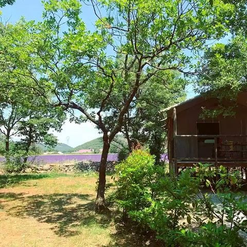 Tente en toile et en bois 4 personnes - Cabane Lodge sur Pilotis Confort 27m² - 2 chambres + terrasse couverte