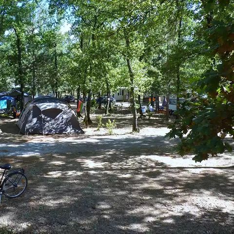 Kampeerplaats - Natuurpakket