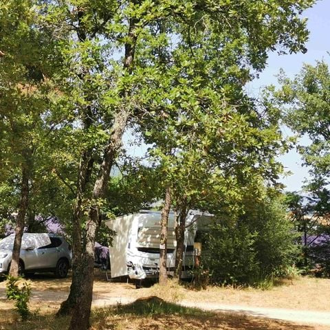 EMPLACEMENT - Forfait Confort - branchement électrique inclus