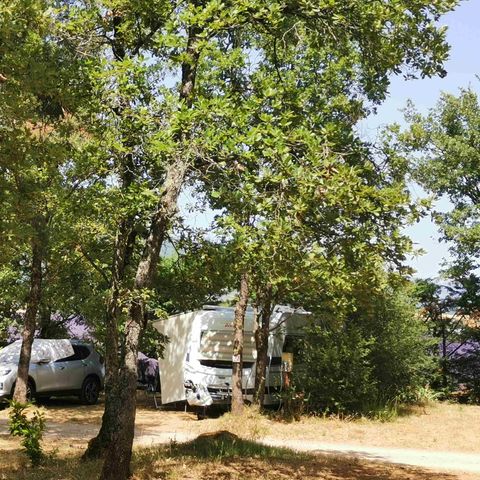 Pitch - Comfort package - electrical connection included