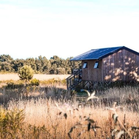 Lodge 4 personen - Eco -logdes (prijs voor 4 personen)