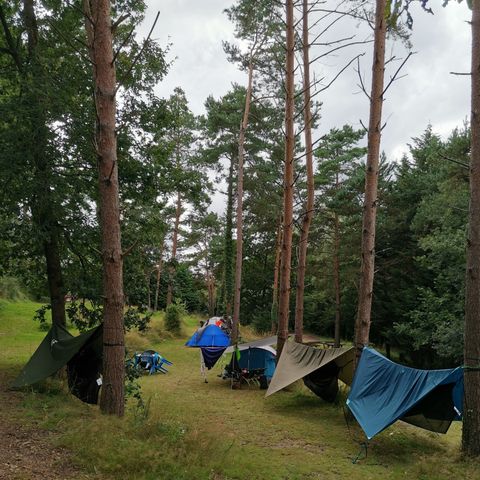 Kampeerplaats - Wandelaars pakket