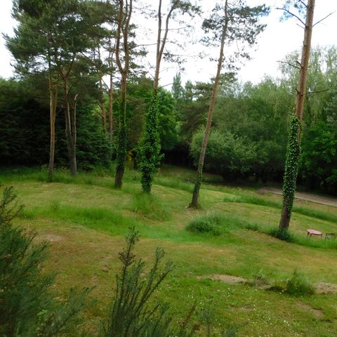 Kampeerplaats - Wandelaars pakket