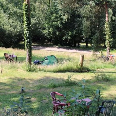 Kampeerplaats - Wandelaars pakket