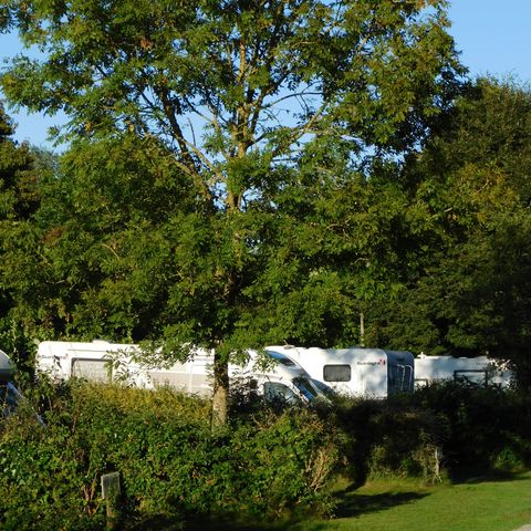 Kampeerplaats - 1 Tent of 1 Camper of 1 Caravan + voertuig (zonder elektriciteit)