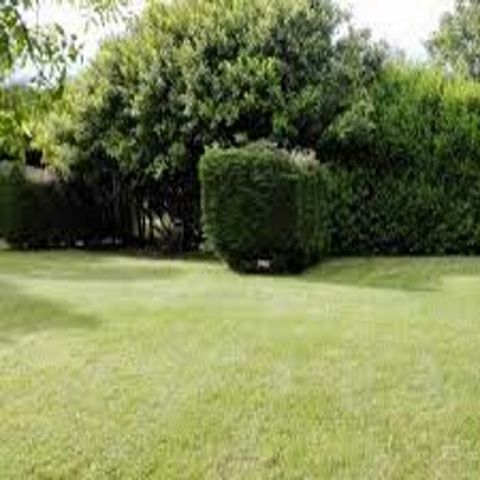 PLOT - with 1 car + tent, caravan or motor home