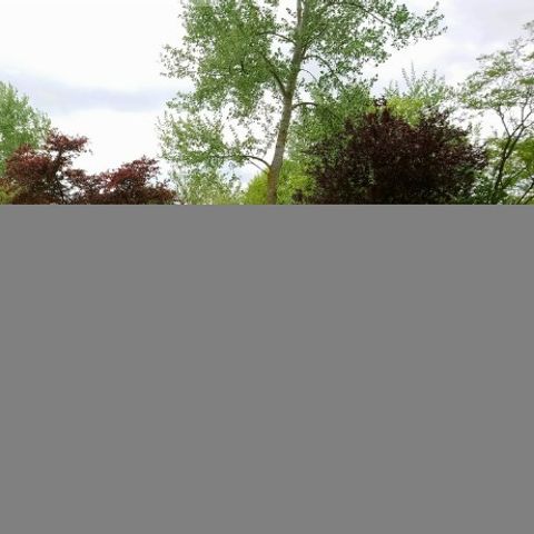 CHALET 7 persone - Fascino