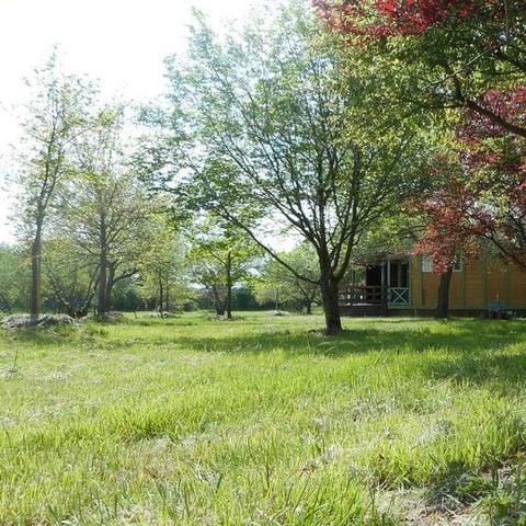 BUNGALOW 9 personnes - Chèvrefeuille