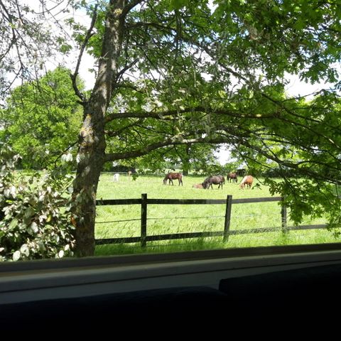 MOBILHOME 7 personas - Abulón