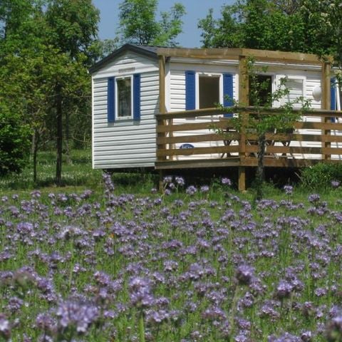 BUNGALOW 4 personnes - N° 3