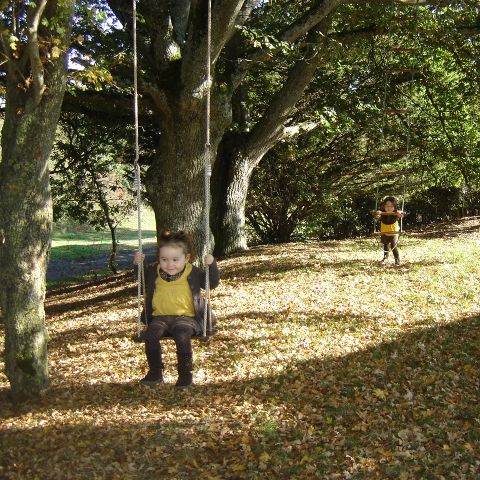 Camping Les Logis de L'Oumois - Camping Maine-et-Loire - Image N°6