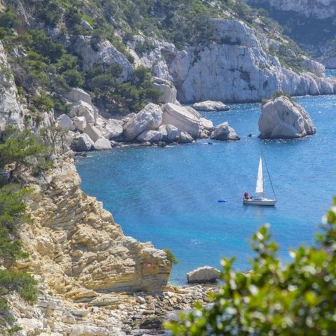 Camping AEC Vacances Les Dauphins - Camping Var - Image N°5