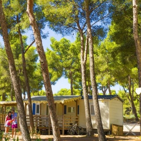 Camping AEC Vacances Les Dauphins - Camping Var - Image N°6