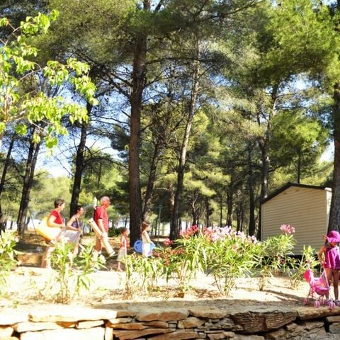 Camping AEC Vacances Les Dauphins - Camping Var - Image N°5
