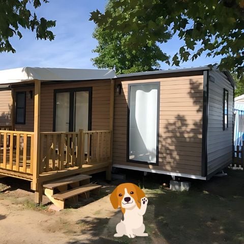 MOBILHOME 4 personnes - CANI COTTAGE 2 chambres env. 30m²