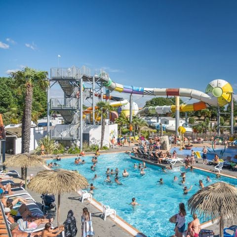 Satisfaction client 2025 : Catégorie Argent