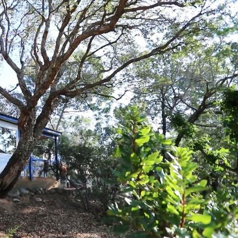 Chalet 5 personen - Chalet Categorie A (zaterdag/zaterdag) -