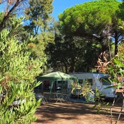 Pitch - Caravan pitch -