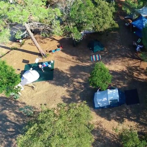 PLOT - Igloo tent pitch -