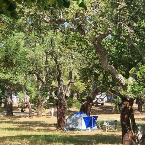 PIAZZOLA - Piazzola per tenda Igloo -