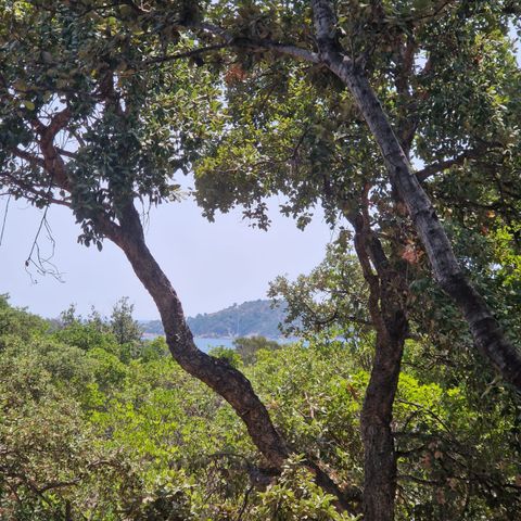 Chalet 7 personen - Chalet Uliicolu (Gamme Supérieure) - Zondag/Dimanche