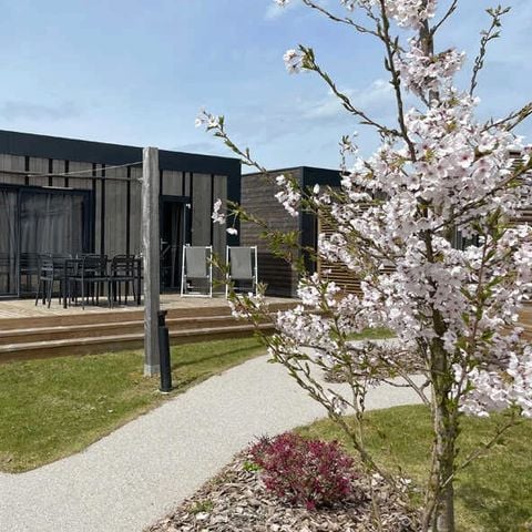 LODGE 6 Personen - Lodge Duo Space