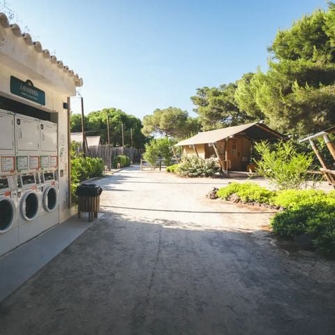 PARCELA - Parcela M