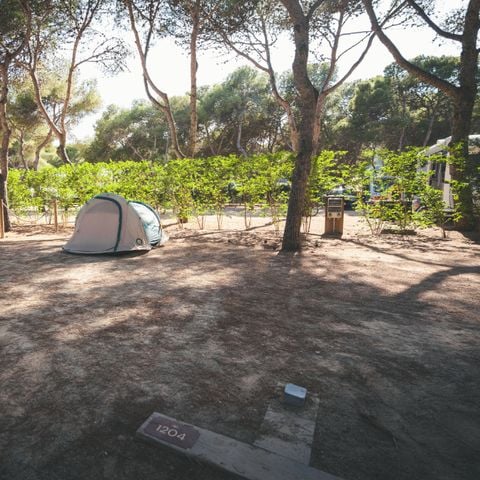 Stellplatz - Stellplatz M