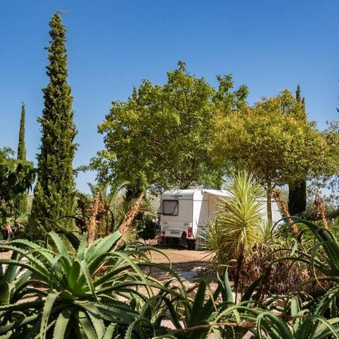 Pitch - Standard pitch