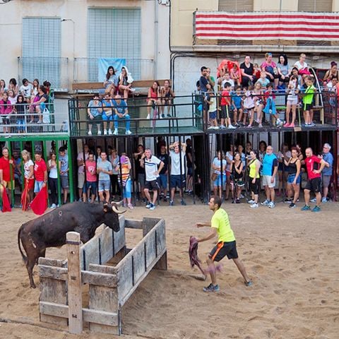 Camping L'Orangeraie  - Camping Castellón - Afbeelding N°6