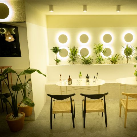 Camping L'Orangeraie - Camping Paradis - Camping Castellón - Image N°6