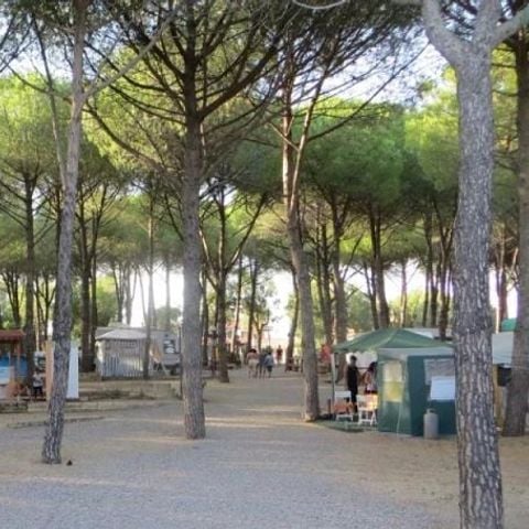 Kampeerplaats - Voor caravans en campers