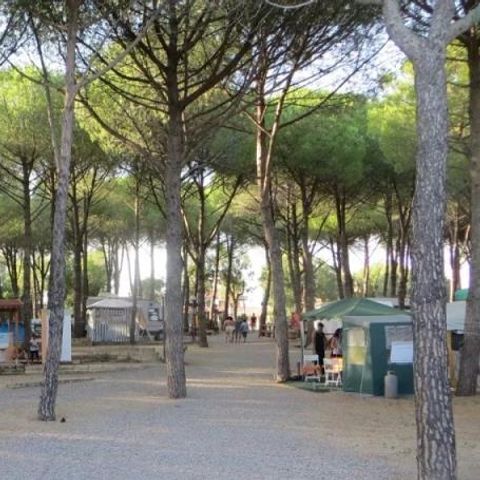 Pitch - For Caravans and Campervans