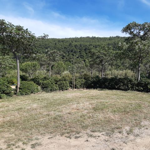 STAANPLAATS - Comfort pakket (1 tent, caravan en 1 auto of camper / bestelwagen / 16A elektriciteit) 2/6 pers