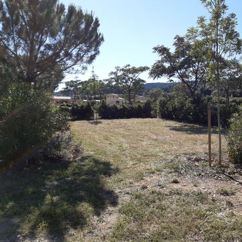 PLOT - Comfort package (1 tent, caravan and 1 car or camper van / van / 16A electricity) 2/6 pers