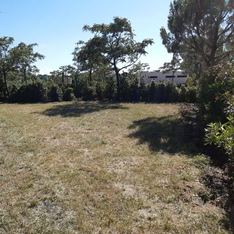 STAANPLAATS - Comfort pakket (1 tent, caravan en 1 auto of camper / bestelwagen / 16A elektriciteit) 2/6 pers