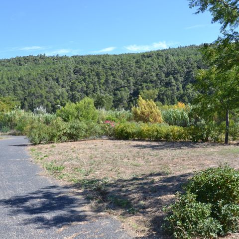 STAANPLAATS - Comfort pakket (1 tent, caravan en 1 auto of camper / bestelwagen / 16A elektriciteit) 2/6 pers