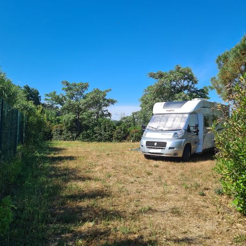 PLOT - Comfort package (1 tent, caravan and 1 car or camper van / van / 16A electricity) 2/6 pers