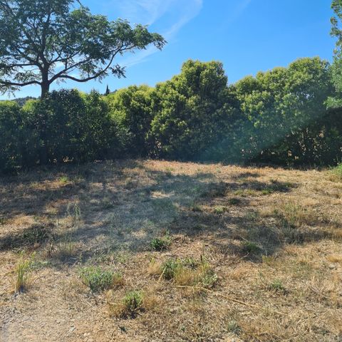 PLOT - Comfort package (1 tent, caravan and 1 car or camper van / van / 16A electricity) 2/6 pers