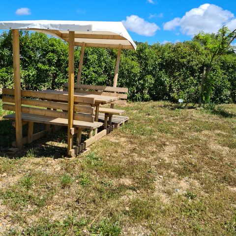 PLOT - Premium package (1 tent, caravan and 1 car or camper / van / 16A electricity)