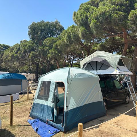 Kampeerplaats - Standaard: auto + tent