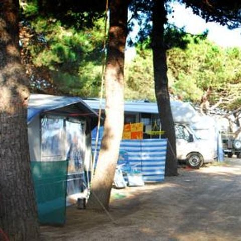 Kampeerplaats - Standaard: auto + tent