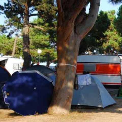 Kampeerplaats - Standaard: auto + tent
