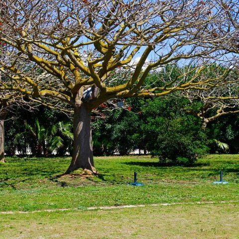 Kampeerplaats - Grote tent