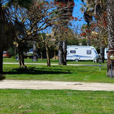 Kampeerplaats - Caravan